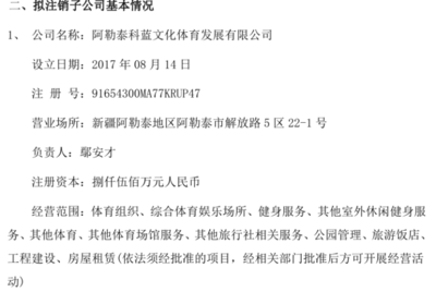 收藏品批發 機遇、挑戰與市場策略